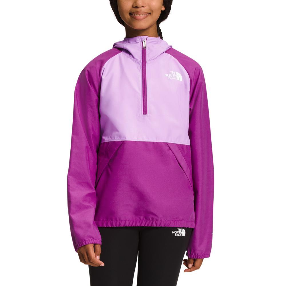 The north face windproof clearance jacket